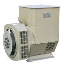 Competitive Price Brushless Single Phase 230V 8kVA~25kVA Alternator for Sale